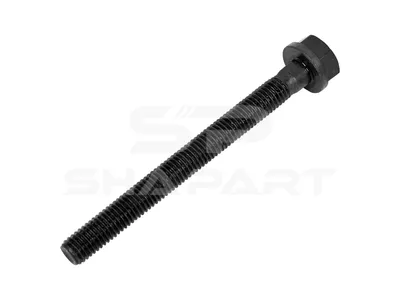 4.40161 Screw, M10 x 1,5, Lu: 105 mm, SW: 16