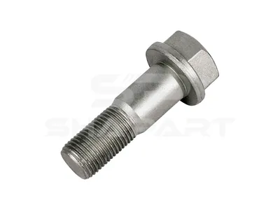 4.40203 Screw, D: 17 mm, M16, L: 48 mm