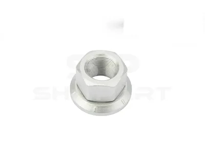 4.40209 Wheel nut, surface: geomet, M22 x 1,5, SW: 32, H: 27 mm, 10
