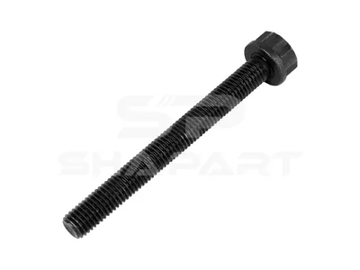 4.40211 Cylinder head screw, M12 x 1,75, L: 111 mm