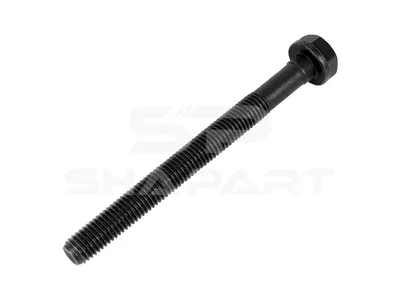 4.40221 Cylinder head screw, M12 x 1,75, L: 40 mm