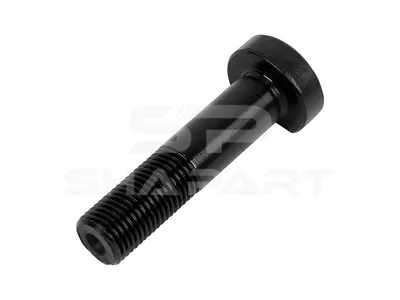 4.40271 Wheel bolt, M14 x 1,5, LTh: 27 mm, Lu: 58 mm, D: 25 mm, 10.9