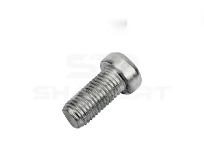 4.40300 Screw, M12 x 1,5, L: 25 mm, 8.8