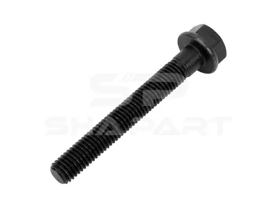 4.40327 Screw, M10, L: 75 mm, 10.9