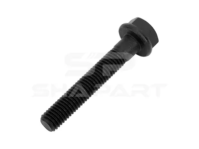 4.40328 Screw, M10, L: 60 mm, 10.9