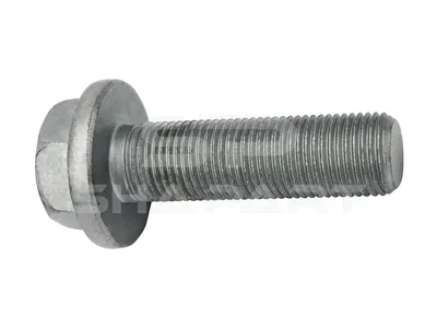 4.40342 Screw, M16 x 1,5, L: 55 mm
