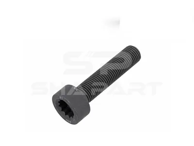 4.40350 Screw, M14 x 1,5, Lu: 60 mm, 10.9
