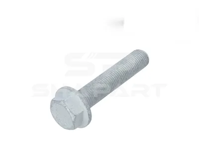 4.40378 Screw, M14 x 1,5, SW: 21, L: 70 mm, 10.9