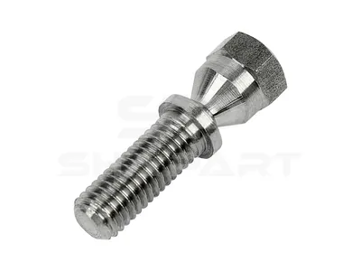 4.40472 Screw, M8 x 1,25, SW: 11, L: 37 mm, 5.8
