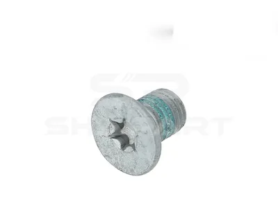 4.40577 Screw, brake disc
