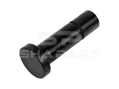 4.50099 Valve tappet, D1: 20 mm, D2: 32 mm, L: 76.7 mm