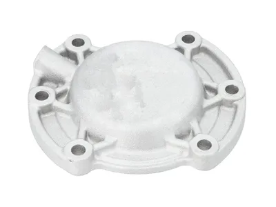 4.50387 Expansion plug