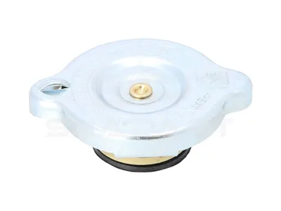 4.50409 Expansion plug