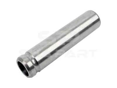 4.50579 Valve guide, intake