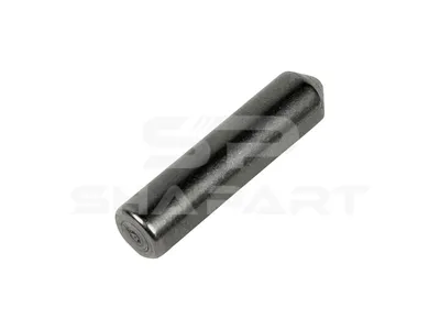 4.60493SP Detent pin, short, D: 10 mm, L: 43 mm
