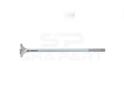 4.60623 Exhaust valve, D1: 9.5 mm, D2: 40 mm, L: 246.5 mm, α: 30 °