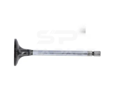 4.60655 Intake valve