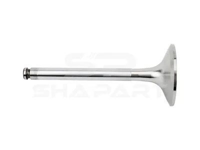 4.61224 Intake valve, D1: 12 mm, D2: 59 mm, L: 142.5 mm, α: 30 °