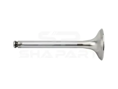 4.61225 Exhaust valve, D1: 12 mm, D2: 51 mm, L: 142.5 mm, α: 45 °