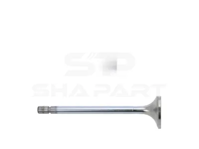 4.61687 Intake valve, D1: 9 mm, D2: 42 mm, L: 140.5 mm, α: 30 °