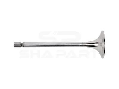 4.62630 Intake valve, D1: 9 mm, D2: 45.6 mm, L: 144.9 mm, α: 30 °