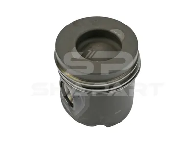 4.62754 Piston, complete with rings, D: 125 mm, L: 133.4 mm