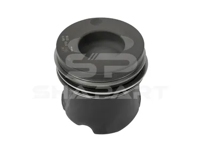 4.62758 Piston, complete with rings, D: 128 mm, L: 126.4 mm