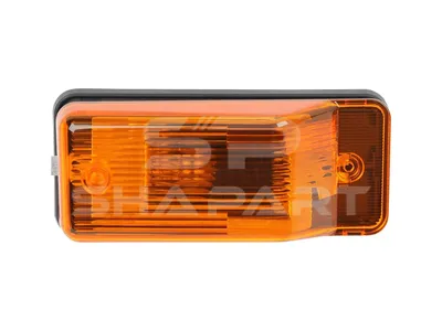 4.66031 Turn signal lamp, lateral, right