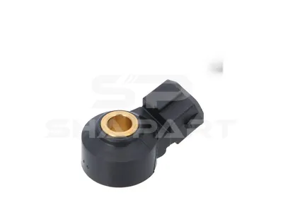 4.66933 Knock sensor, 2 poles