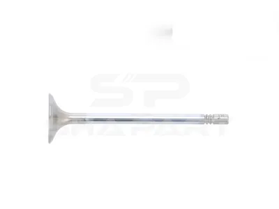 4.68948 Intake valve