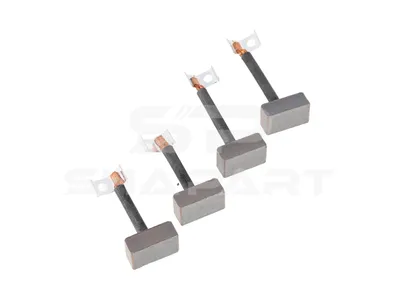 4.68981 Carbon brush set, starter