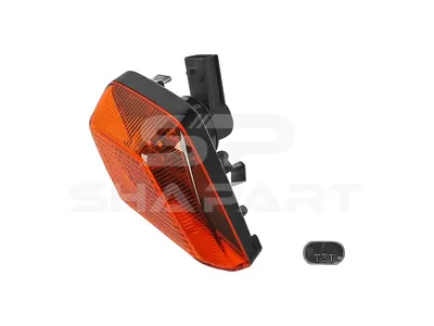 4.69200 Turn signal lamp, left, 24 V, P21/5W