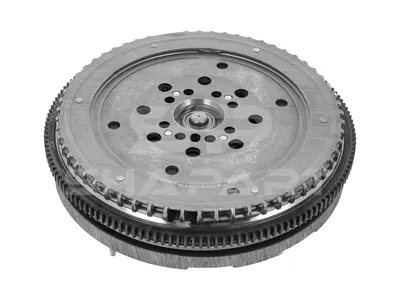 4.69729 Dual-mass flywheel