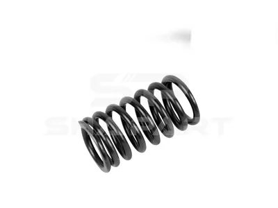 4.70029 Valve spring, intake and exhaust, D: 33.8 mm, L: 62 mm