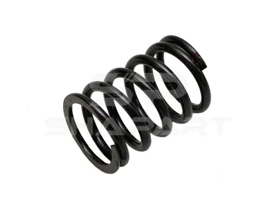 4.70057 Valve spring, outer, D: 42 mm, L: 61.5 mm