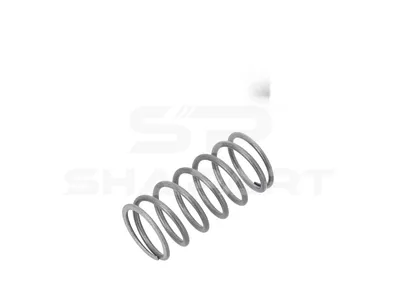 4.70100 Valve spring, constant throttle, D: 19.5 mm, L: 42 mm