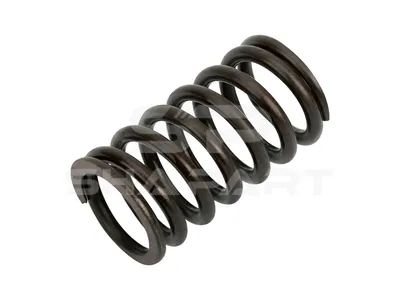 4.70121 Valve spring, intake, D: 27 mm, L: 50 mm