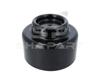 4.73602 Piston, air spring