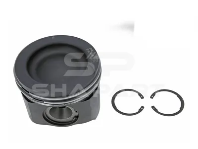 4.75251 Piston, complete with rings