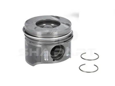 4.75252 Piston, complete with rings