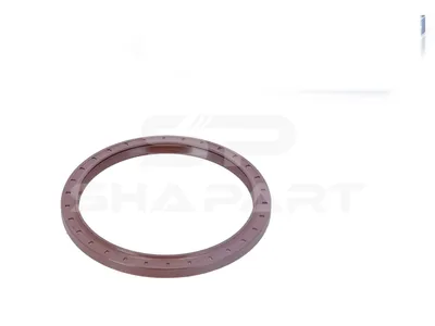 4.81661 Oil seal
