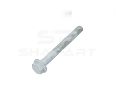 4.81670 Screw, M14 x 1,5, Lu: 120 mm