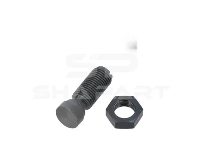 4.90307 Adjusting screw, with nut, M10 x 1