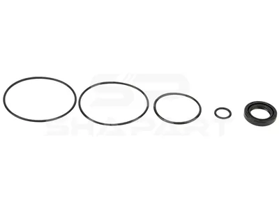 4.90309 Repair kit, servo pump