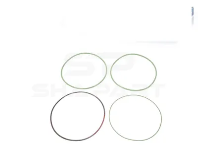 4.90623 Seal ring kit, green