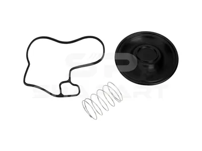 4.90914 Diaphragm kit