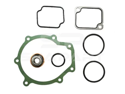 4.90925 Gasket kit, water pump