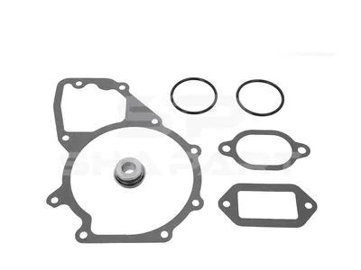 4.90927 Gasket kit, water pump