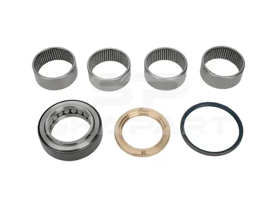 4.91101 King pin kit