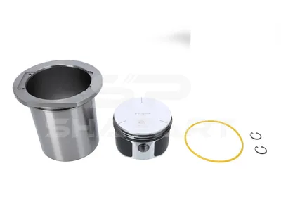 4.91731 Piston and liner kit, compressor